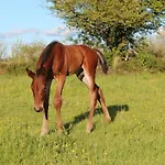 Gite De Charme A La Campagne - 6 Pers. - Fr-1-489-17